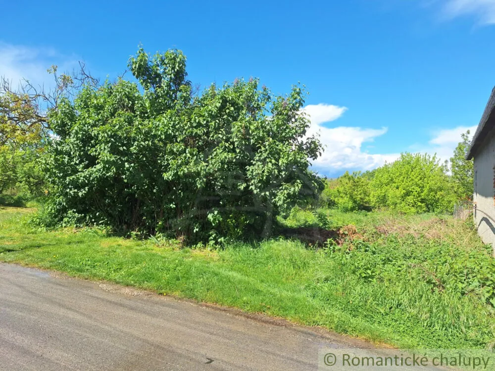 Záhrada na predaj 715m2, Nová Vieska, 179391_1