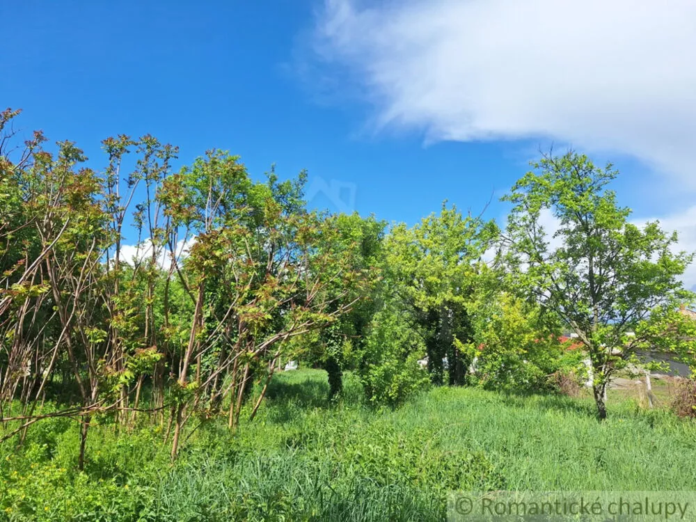 Záhrada na predaj 715m2, Nová Vieska, 179391_2