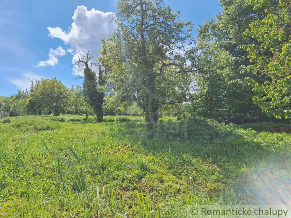 Záhrada na predaj 715m2, Nová Vieska, 179391_3