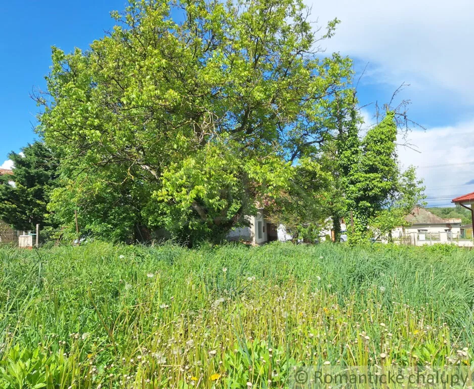 Záhrada na predaj 715m2, Nová Vieska, 179391_4