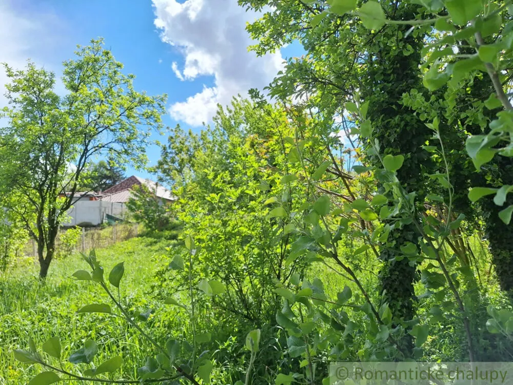 Záhrada na predaj 715m2, Nová Vieska, 179391_5