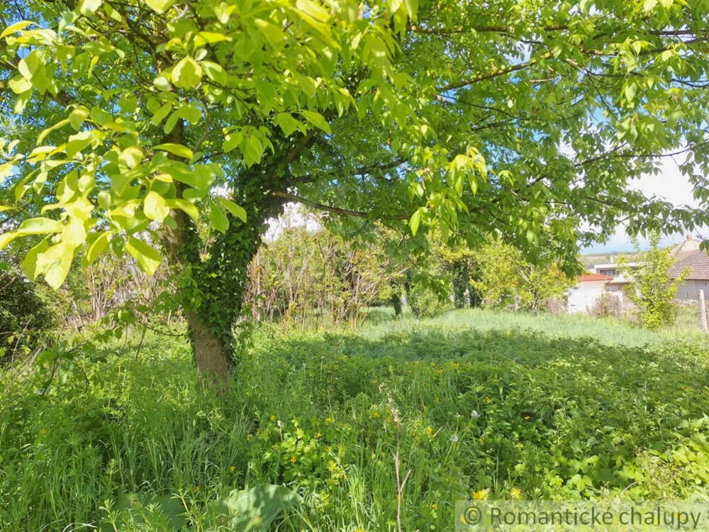 Záhrada na predaj 715m2, Nová Vieska, 179391_8