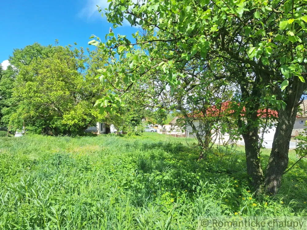 Záhrada na predaj 715m2, Nová Vieska, 179391_9