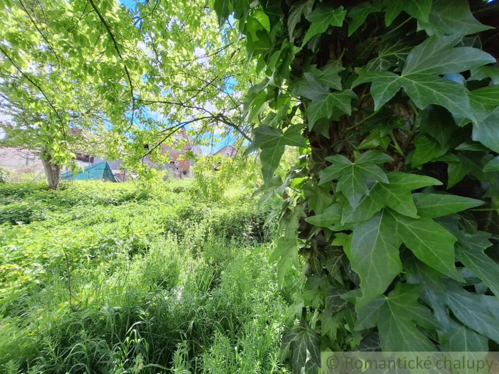 Záhrada na predaj 715m2, Nová Vieska, 179391_10