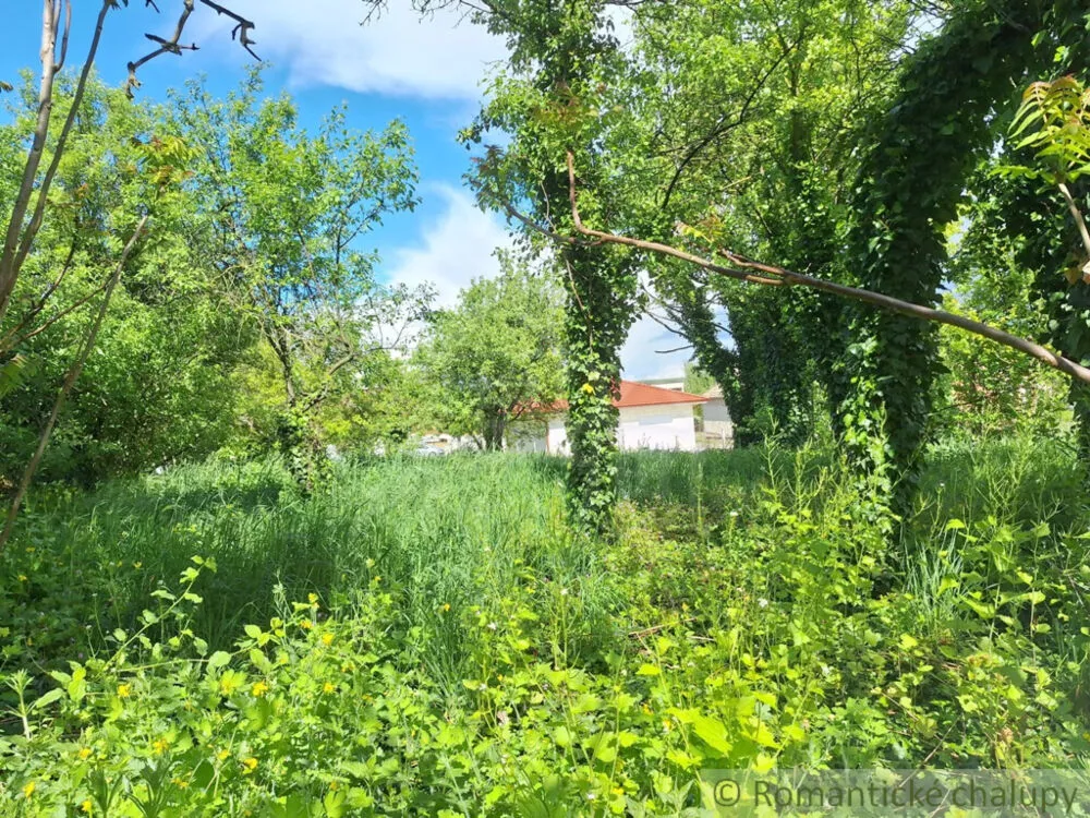 Záhrada na predaj 715m2, Nová Vieska, 179391_11