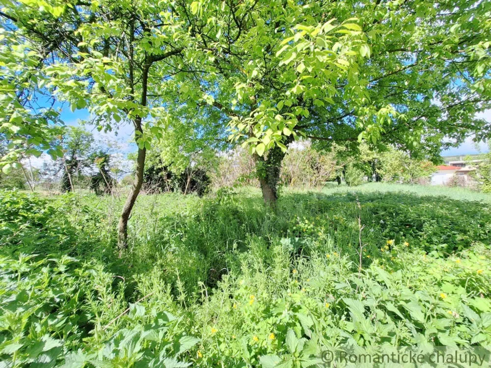 Záhrada na predaj 715m2, Nová Vieska, 179391_12