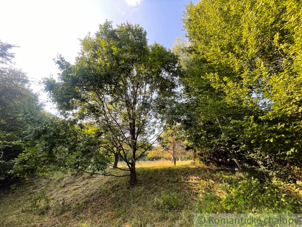 Lúka, pasienok na predaj 15740m2, Hodruša - Hámre, 179396_9