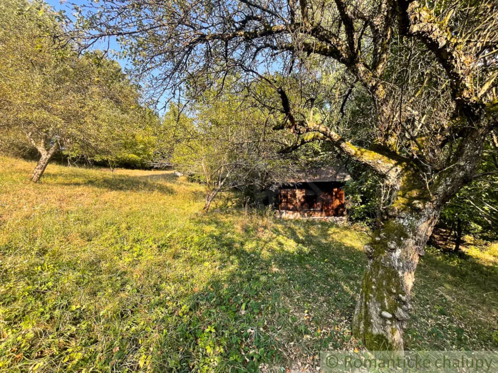 Lúka, pasienok na predaj 15740m2, Hodruša - Hámre, 179396_10