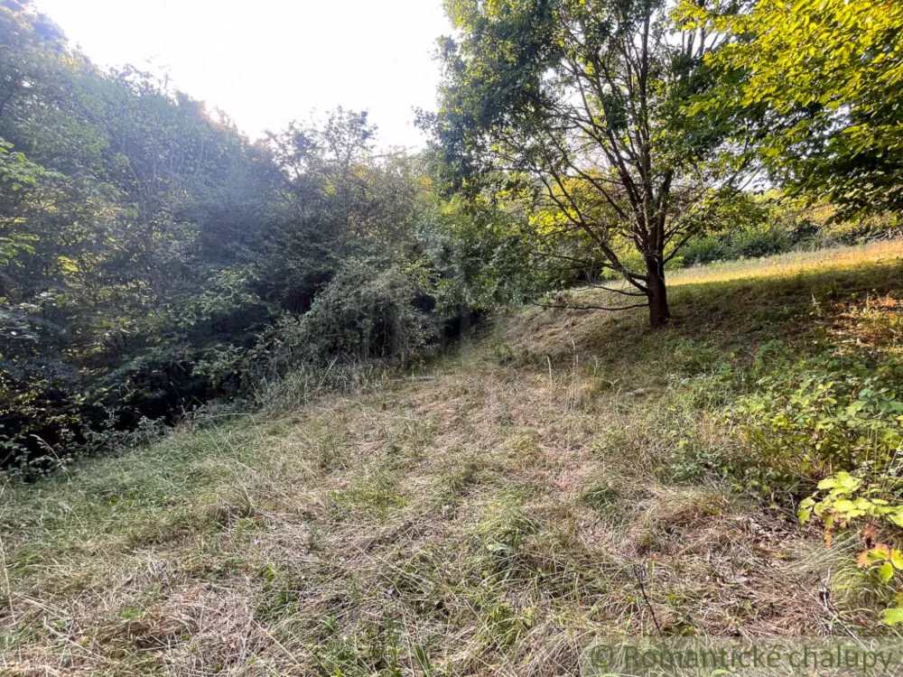 Lúka, pasienok na predaj 15740m2, Hodruša - Hámre, 179396_12