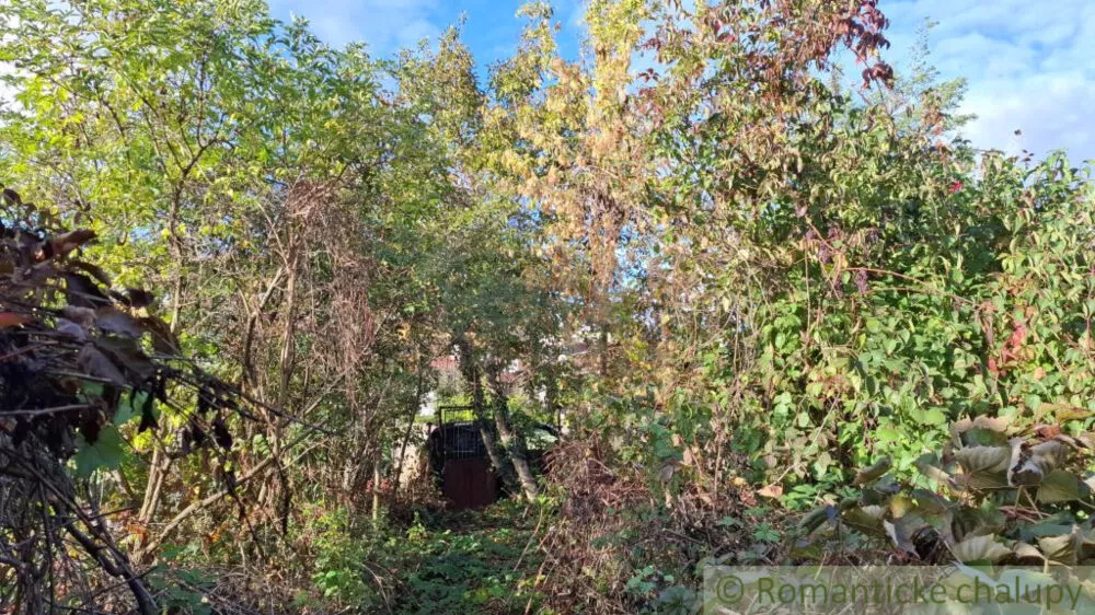 Chata a chalupa na predaj 26m2, Bratislava - Devínska Nová Ves, 161171_3