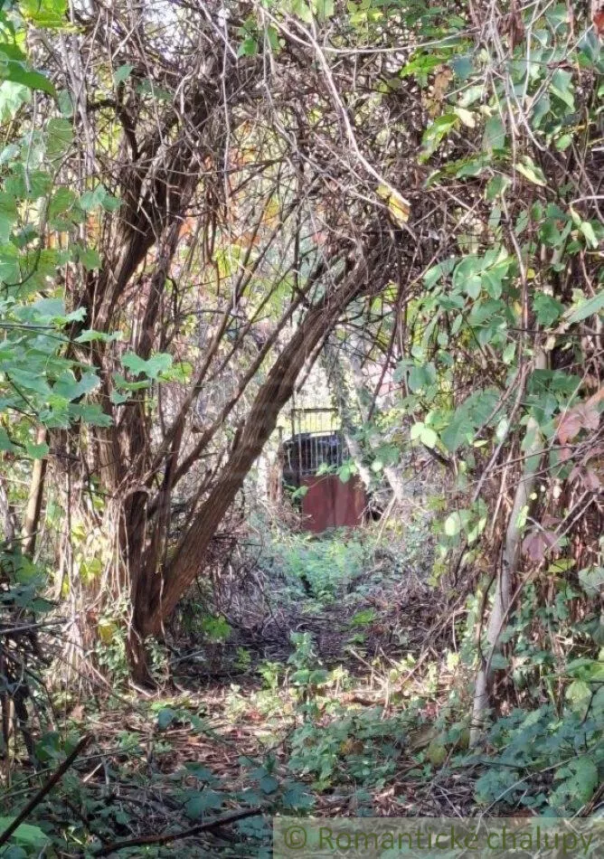 Chata a chalupa na predaj 26m2, Bratislava - Devínska Nová Ves, 161171_4