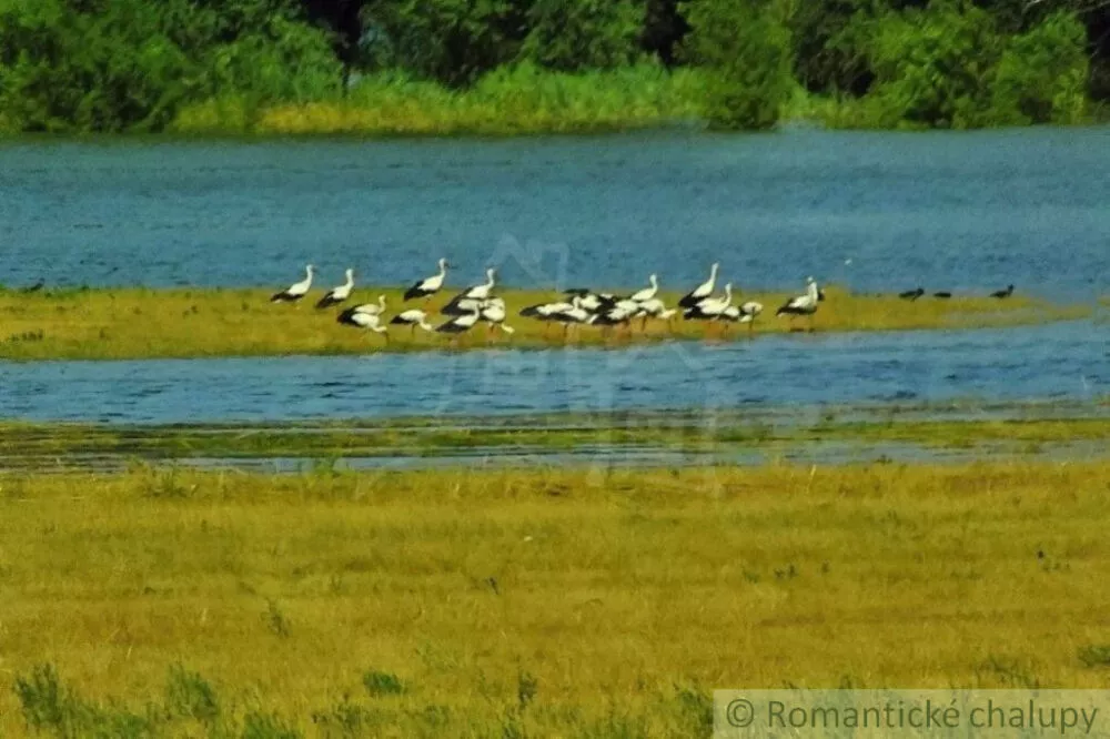 Chata a chalupa na predaj 26m2, Bratislava - Devínska Nová Ves, 161171_5