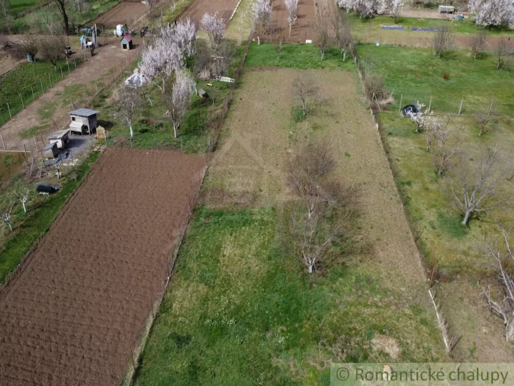 Pozemok pre rod. domy na predaj 2103m2, Mojmírovce, 179525_1