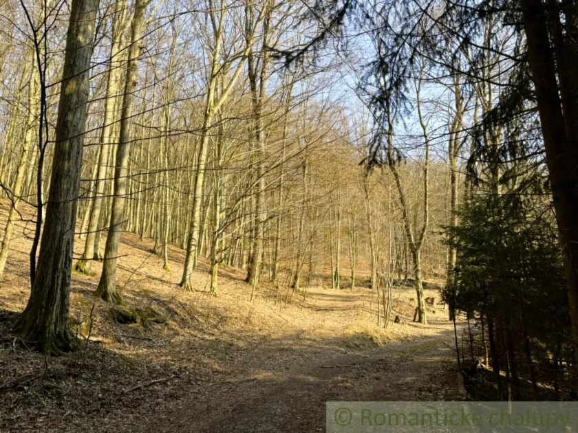 Chata a chalupa na predaj 50m2, Lozorno, 177735_26