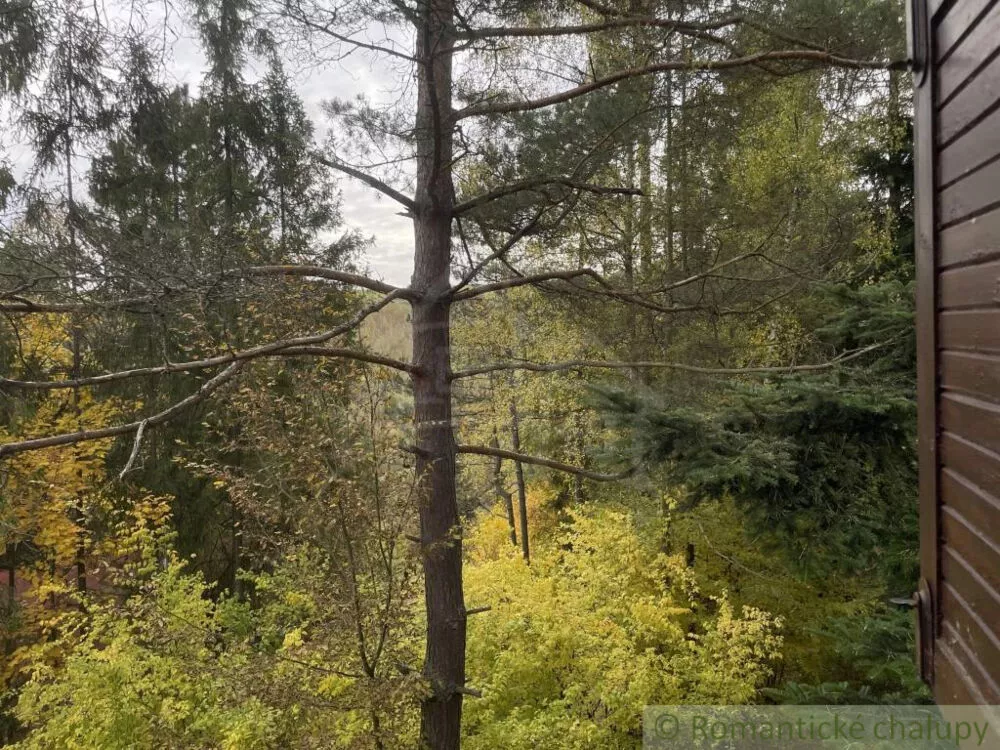 Chata a chalupa na predaj 40m2, Košická Belá, 161724_18