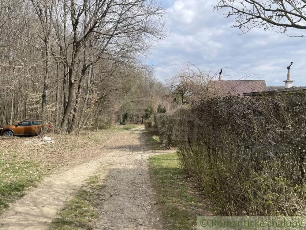 Chata a chalupa na predaj 50m2, Čečejovce, 179165_31