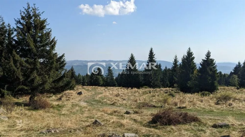 Lúka, pasienok na predaj 15465m2, Hriňová, 179811_0
