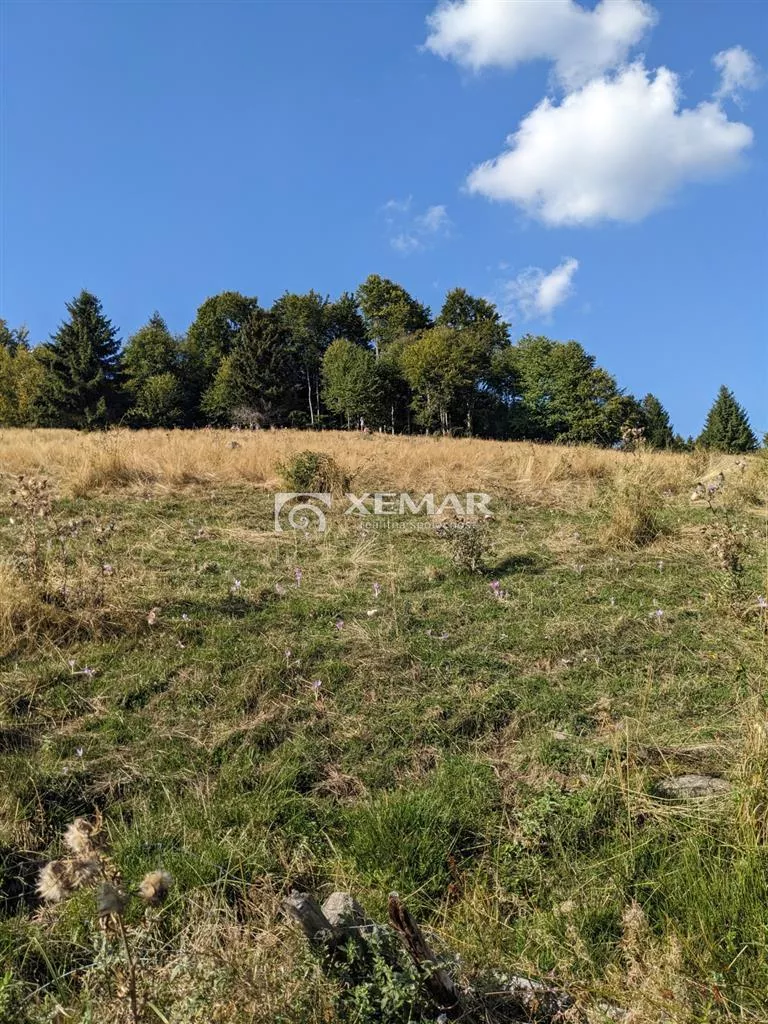 Lúka, pasienok na predaj 15465m2, Hriňová, 179811_3