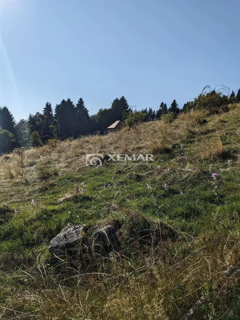 Lúka, pasienok na predaj 15465m2, Hriňová, 179811_4