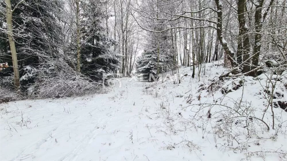 Lúka, pasienok na predaj 799m2, Detvianska Huta, 179817_0