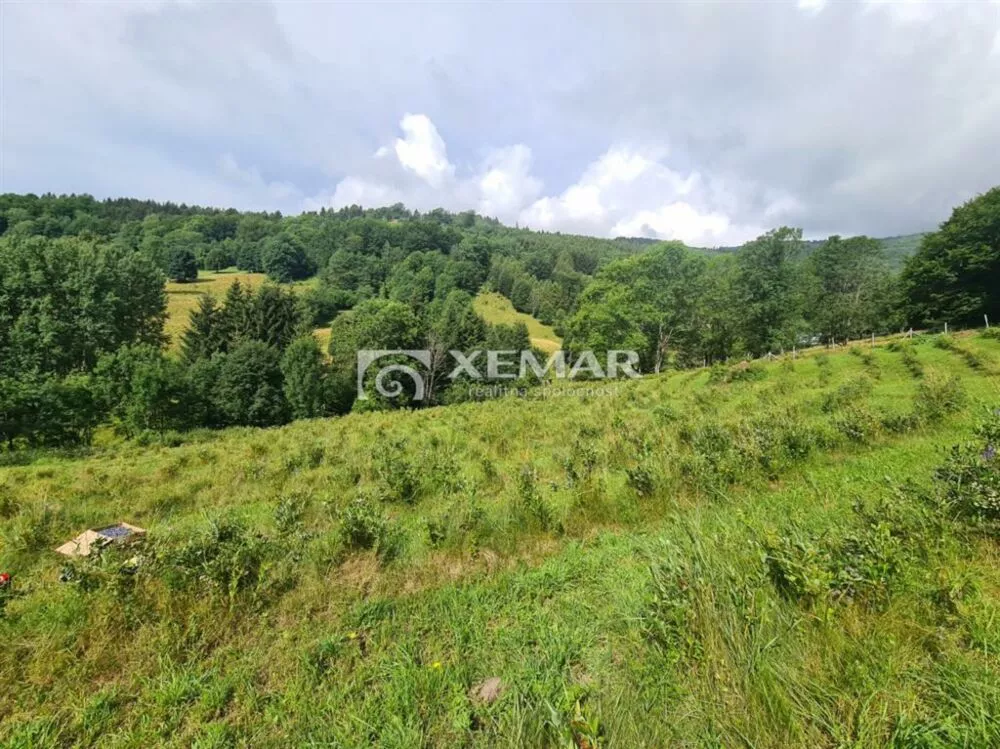 Lúka, pasienok na predaj 5426m2, Hriňová, 179830_0