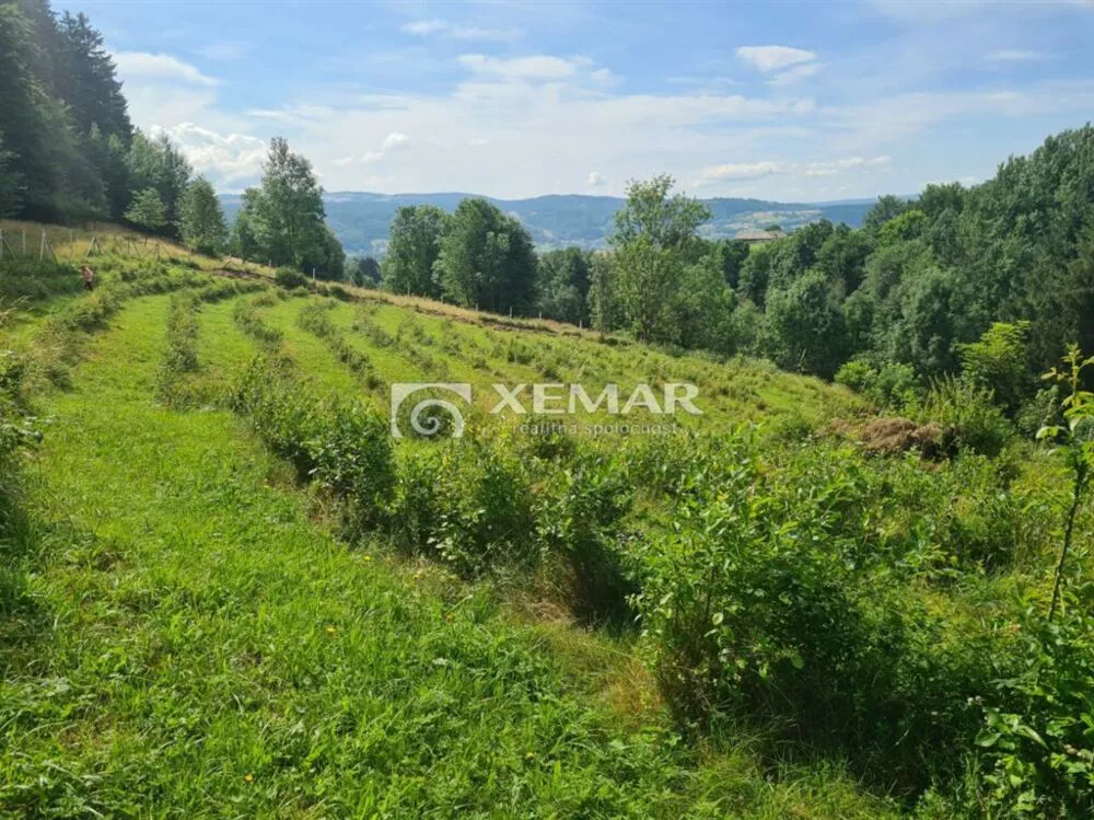 Lúka, pasienok na predaj 5426m2, Hriňová, 179830_2