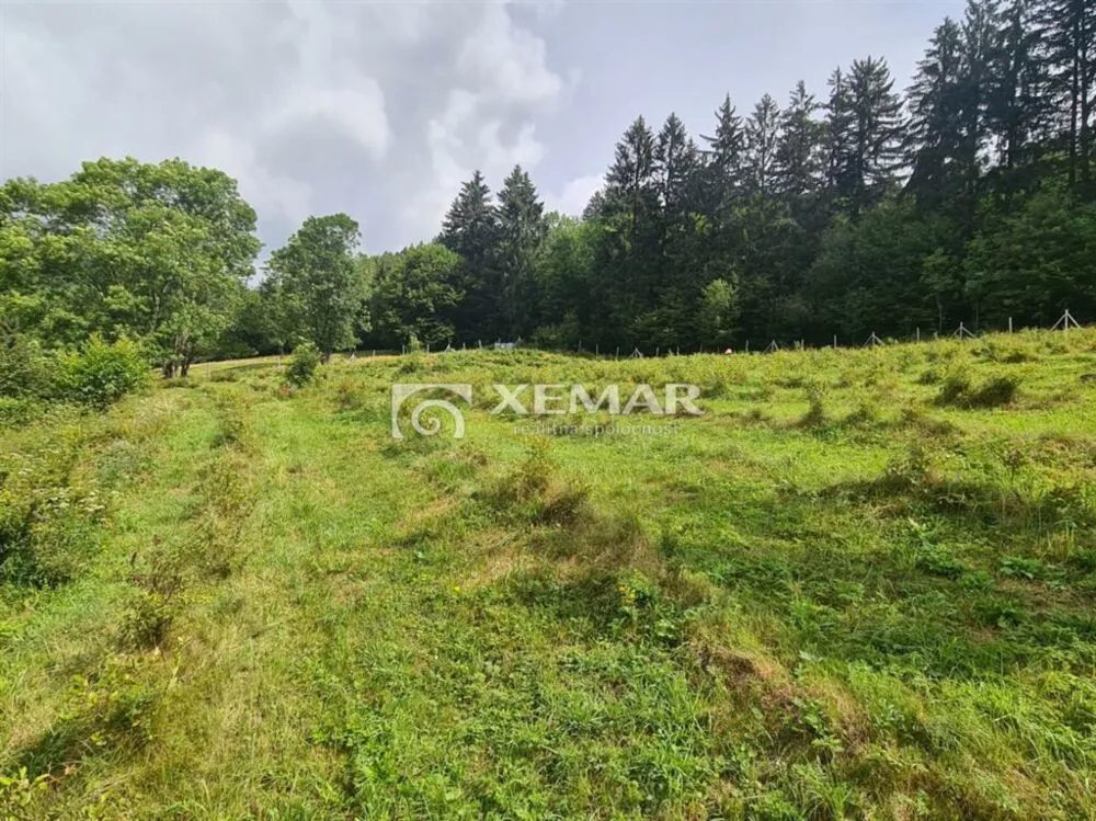 Lúka, pasienok na predaj 5426m2, Hriňová, 179830_3