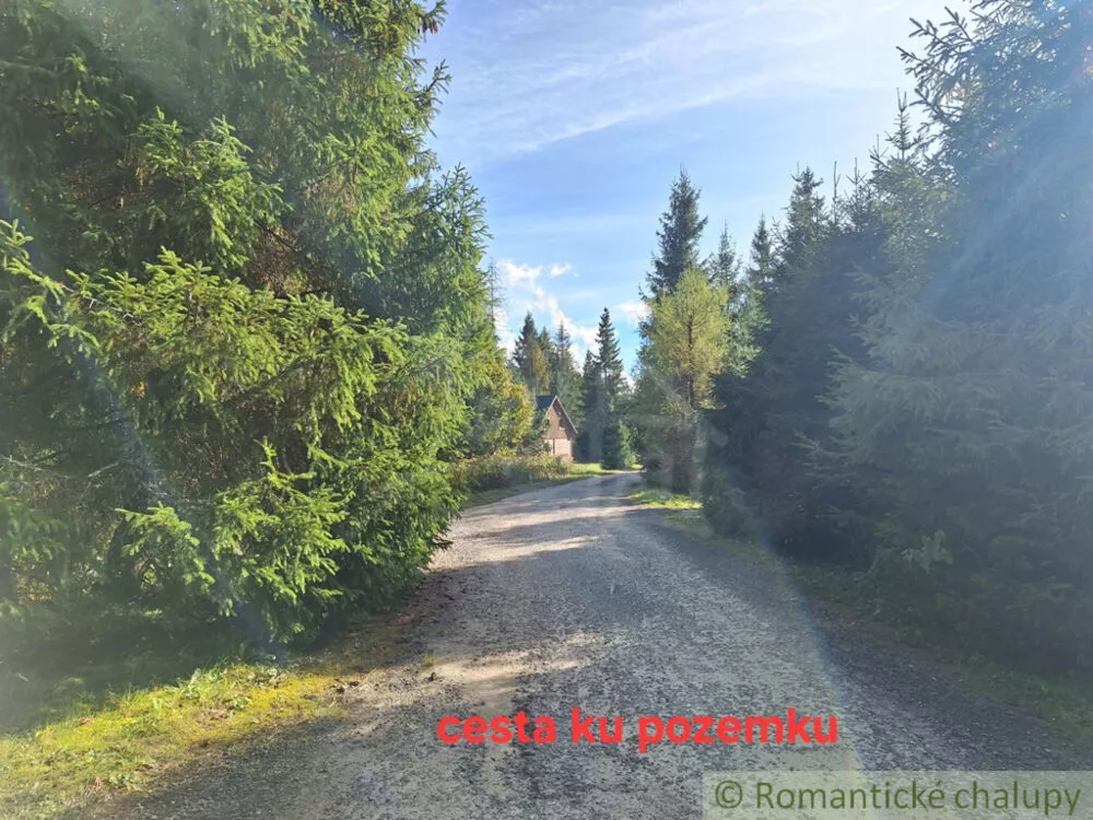 Lúka, pasienok na predaj 4244m2, Važec, 160995_6