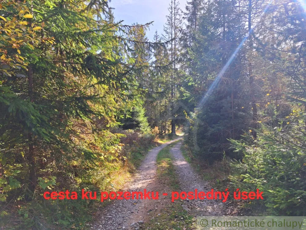 Lúka, pasienok na predaj 4244m2, Važec, 160995_7