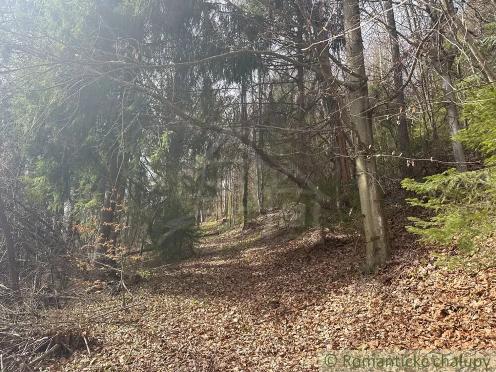 Lesy na predaj 30390m2, Kokava nad Rimavicou, 151834_1