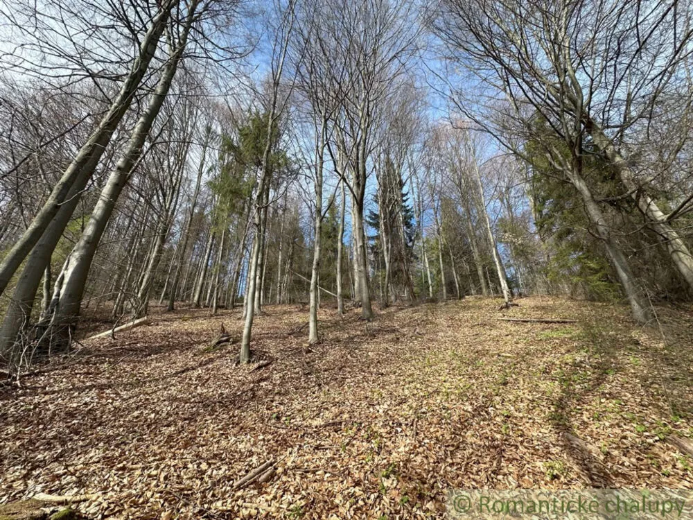 Lesy na predaj 30390m2, Kokava nad Rimavicou, 151834_2