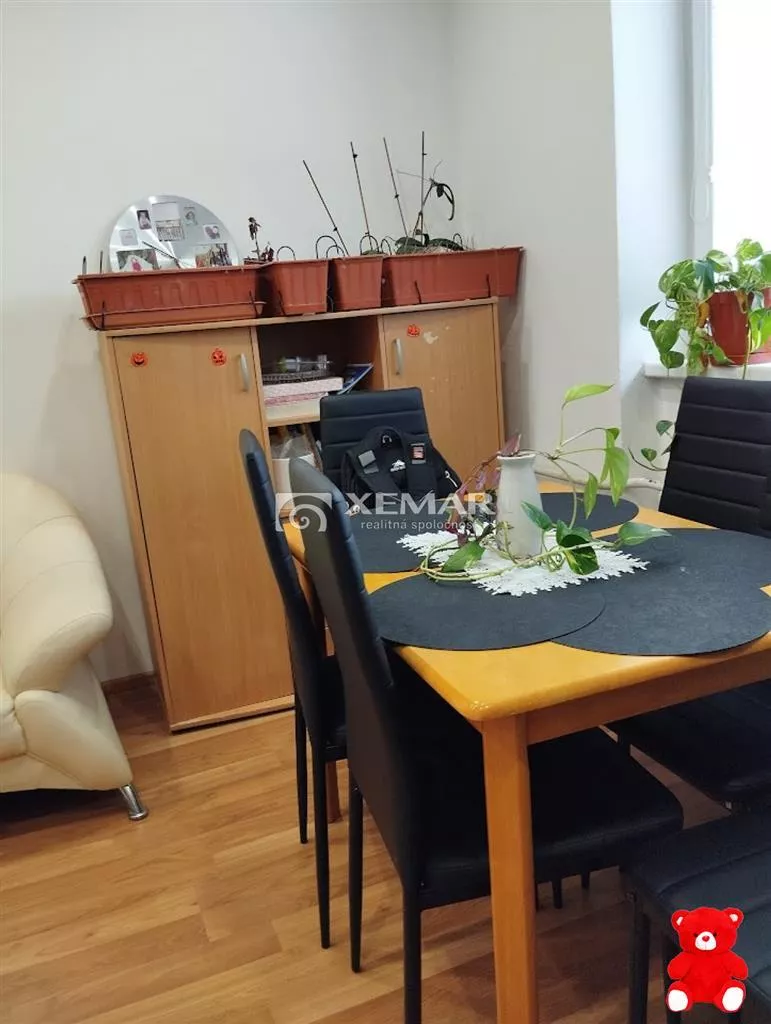 3 izbový byt na predaj 105m2, Rapovce, 181029_4