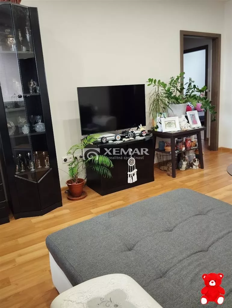 3 izbový byt na predaj 105m2, Rapovce, 181029_8
