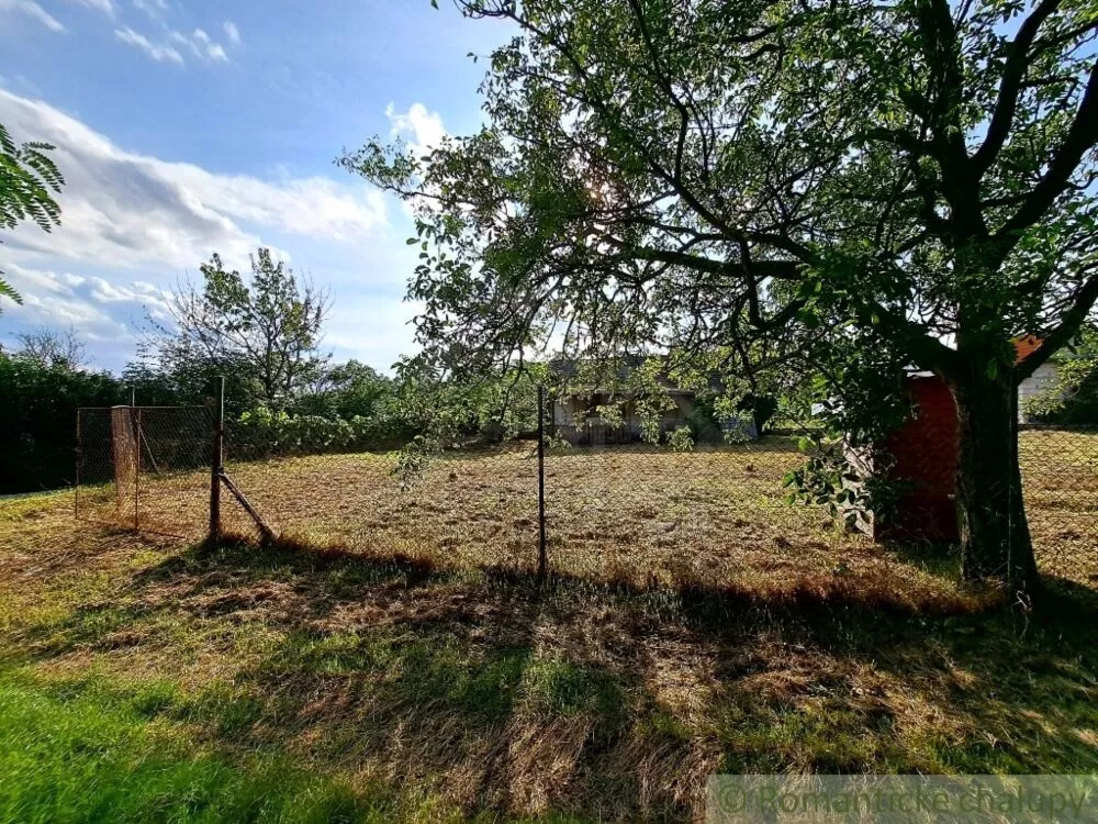 Záhrada na predaj 663m2, Nové Sady, 127350_4