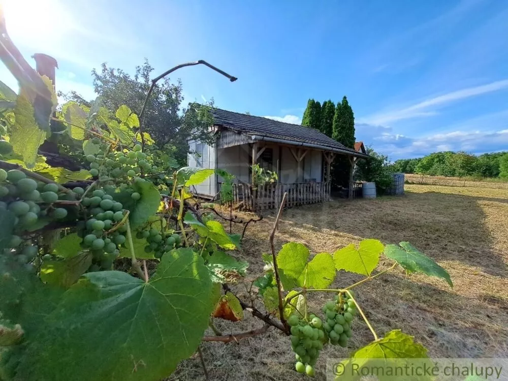 Záhrada na predaj 663m2, Nové Sady, 127350_6