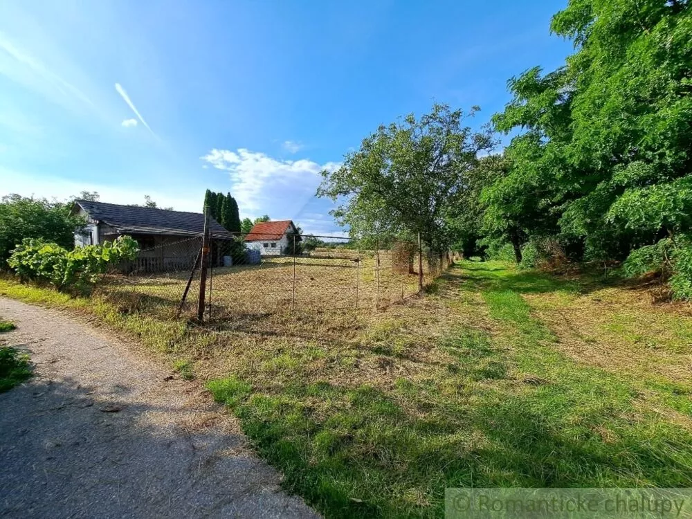 Záhrada na predaj 663m2, Nové Sady, 127350_15