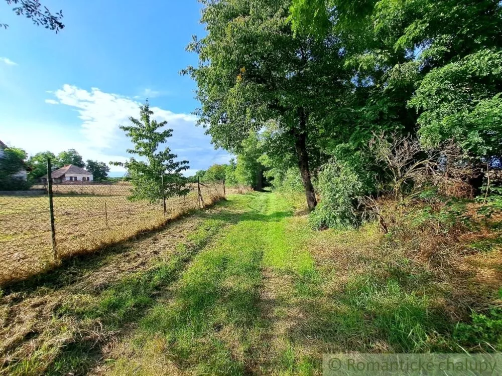 Záhrada na predaj 663m2, Nové Sady, 127350_16