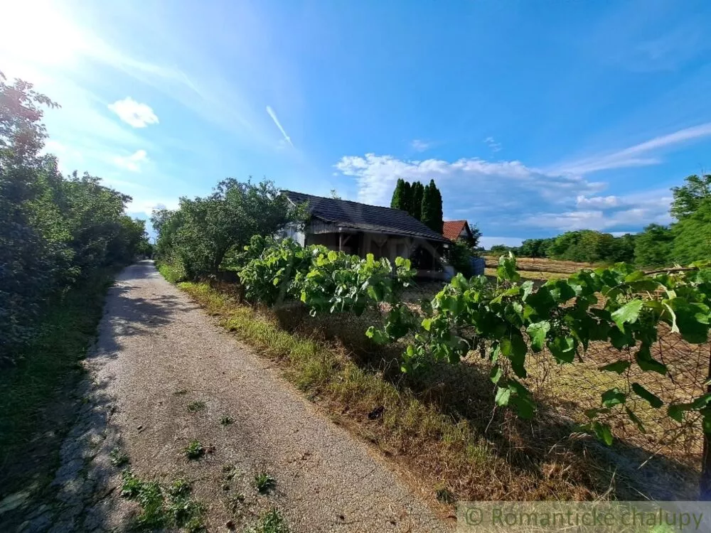 Záhrada na predaj 663m2, Nové Sady, 127350_17