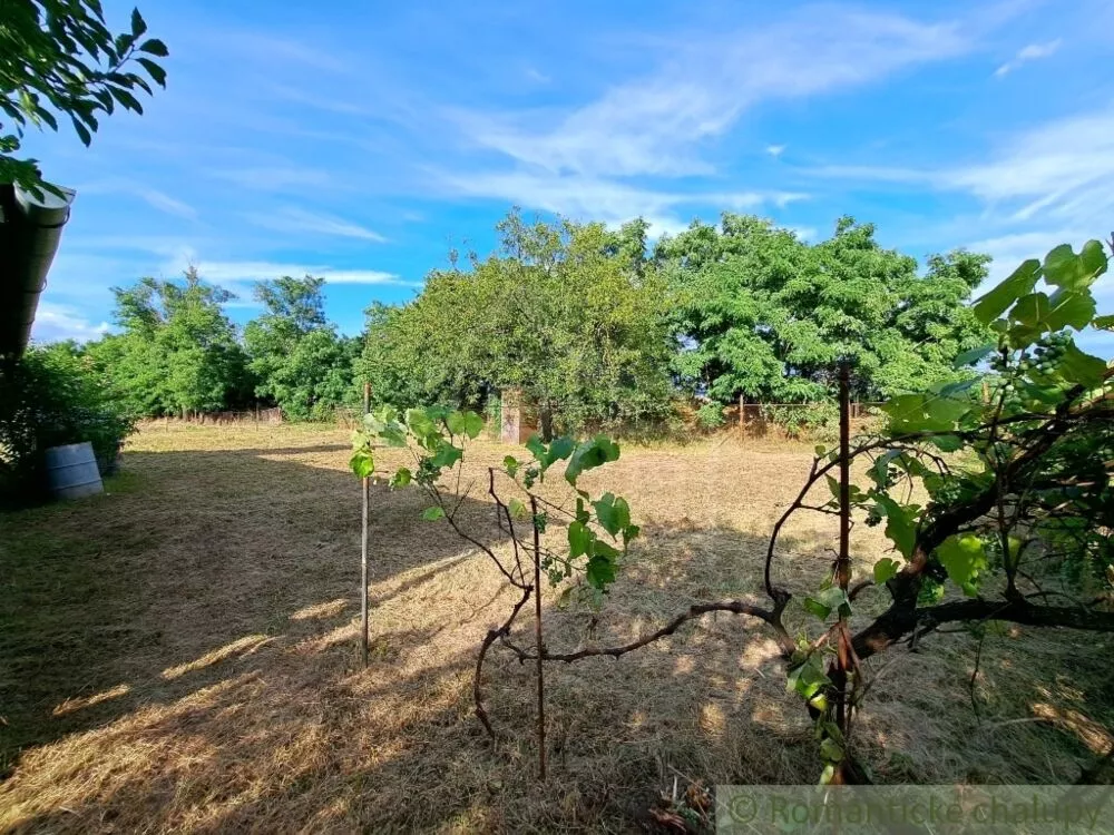 Záhrada na predaj 663m2, Nové Sady, 127350_18