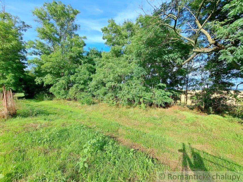 Záhrada na predaj 663m2, Nové Sady, 127350_20
