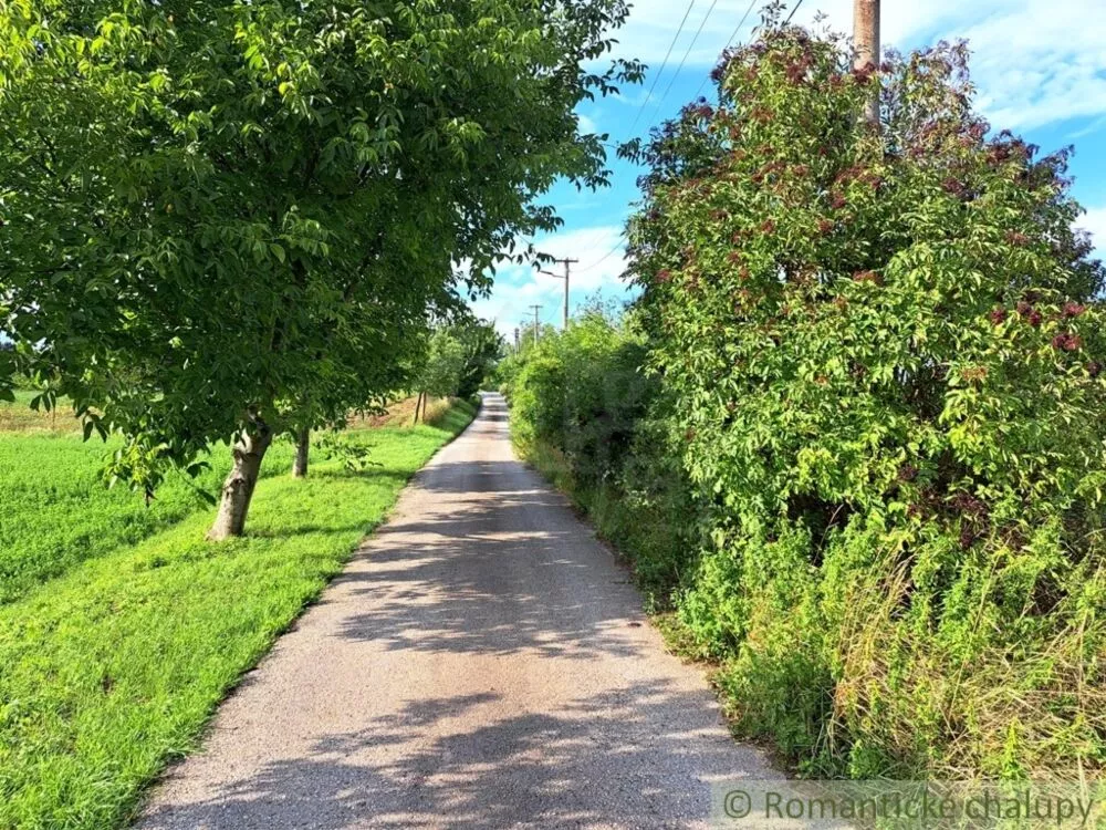 Záhrada na predaj 663m2, Nové Sady, 127350_21