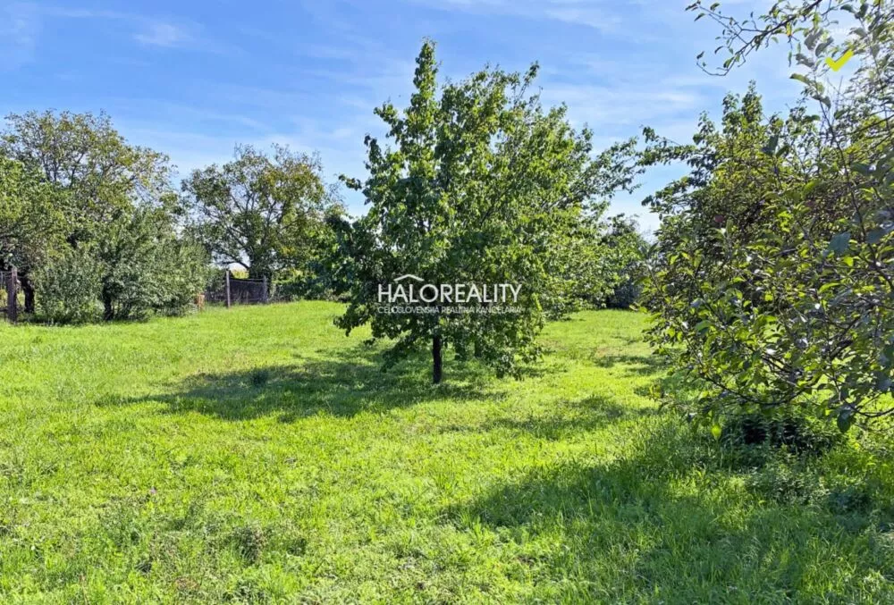 Rodinný dom na predaj 400m2, Radava, 134500_18
