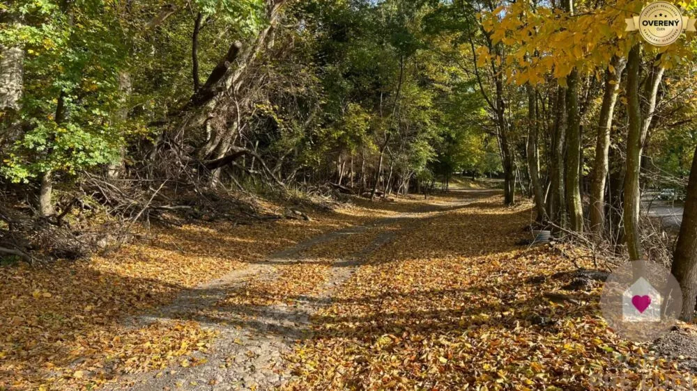 Pozemok pre rod. domy na predaj 1100m2, Borinka, Borinka, 181264_0