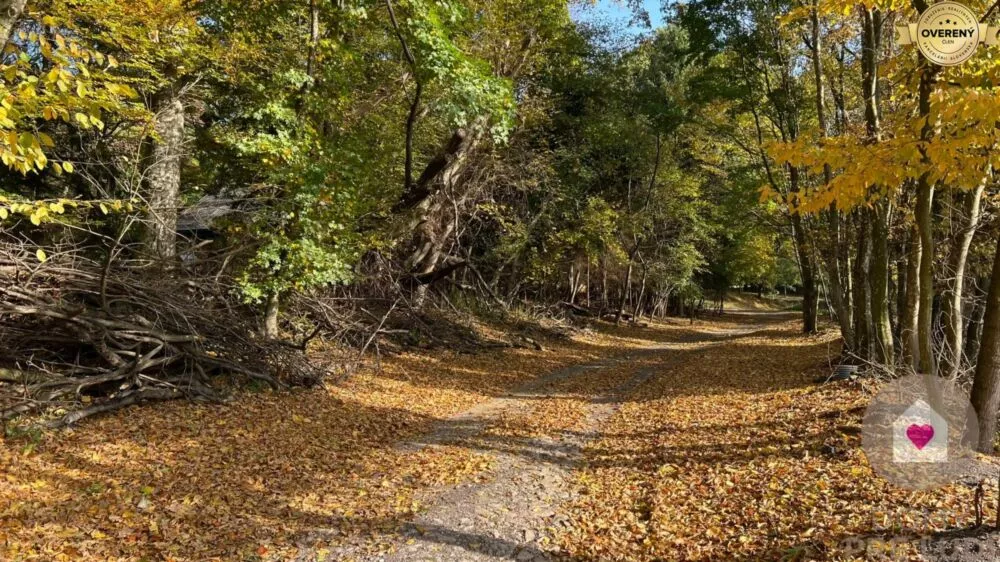 Pozemok pre rod. domy na predaj 1100m2, Borinka, Borinka, 181264_4