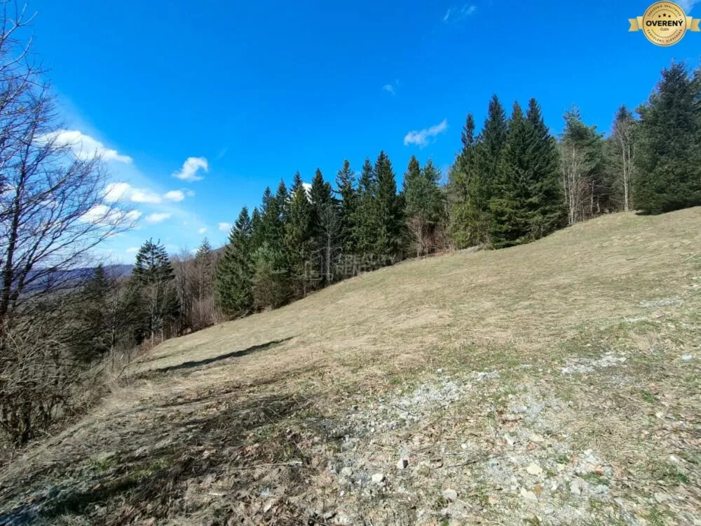 Rekreačný pozemok na predaj 2692m2, Terchová, Terchová, 181937_6