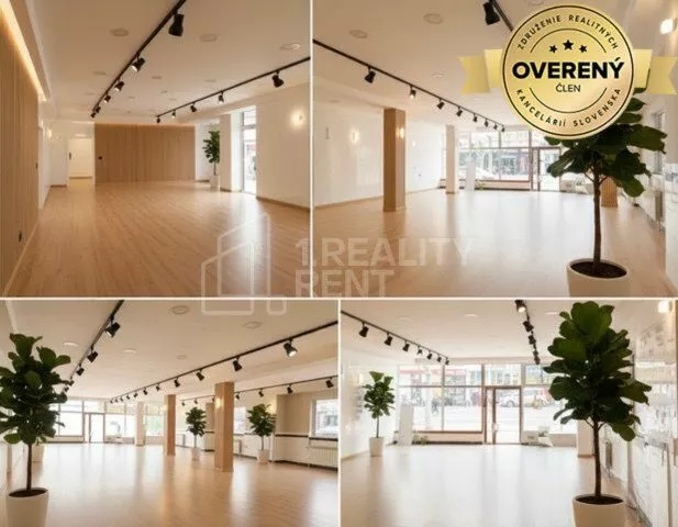 Obchodné priestory na prenájom 250m2, Žilina, 181948_1