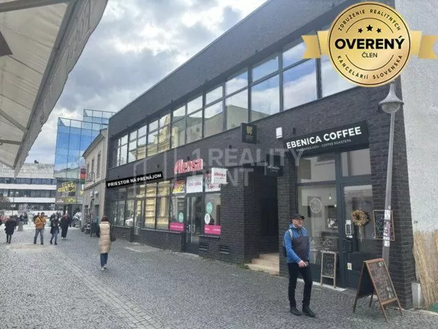 Obchodné priestory na prenájom 250m2, Žilina, 181948_2