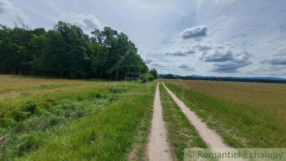 Lesy na predaj 37000m2, Borský Mikuláš, 139989_4