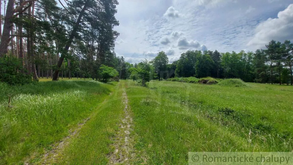 Lesy na predaj 37000m2, Borský Mikuláš, 139989_5