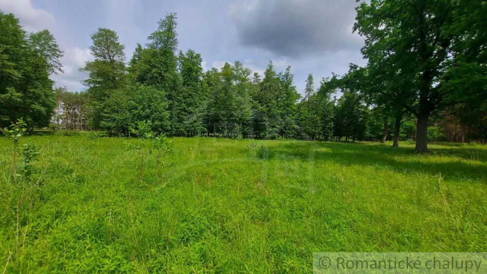 Lesy na predaj 37000m2, Borský Mikuláš, 139989_6